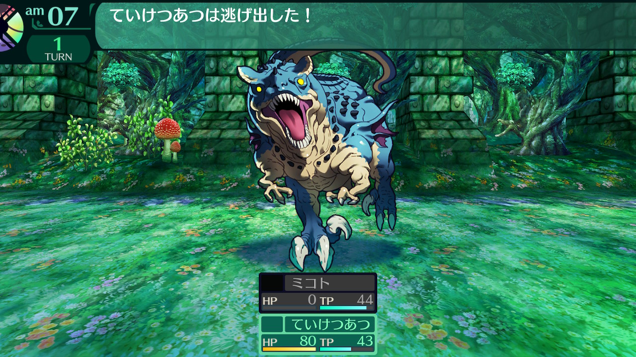 ハイラガ