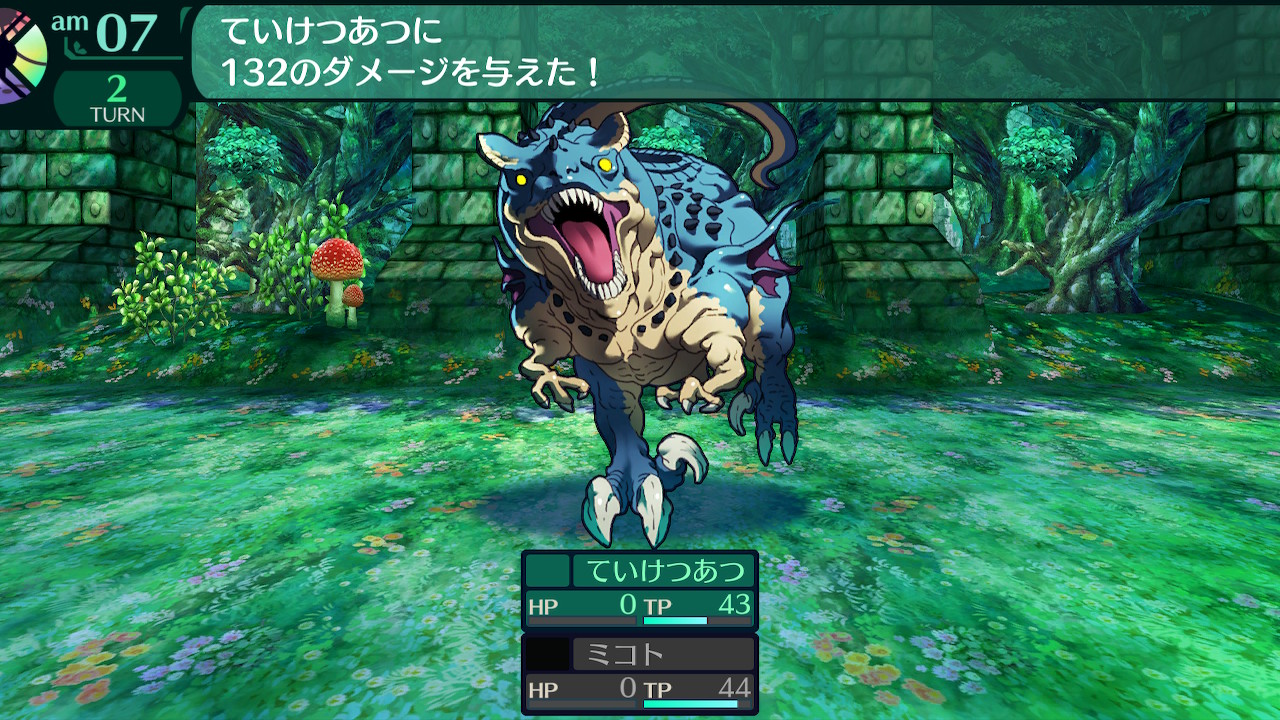 ハイラガ