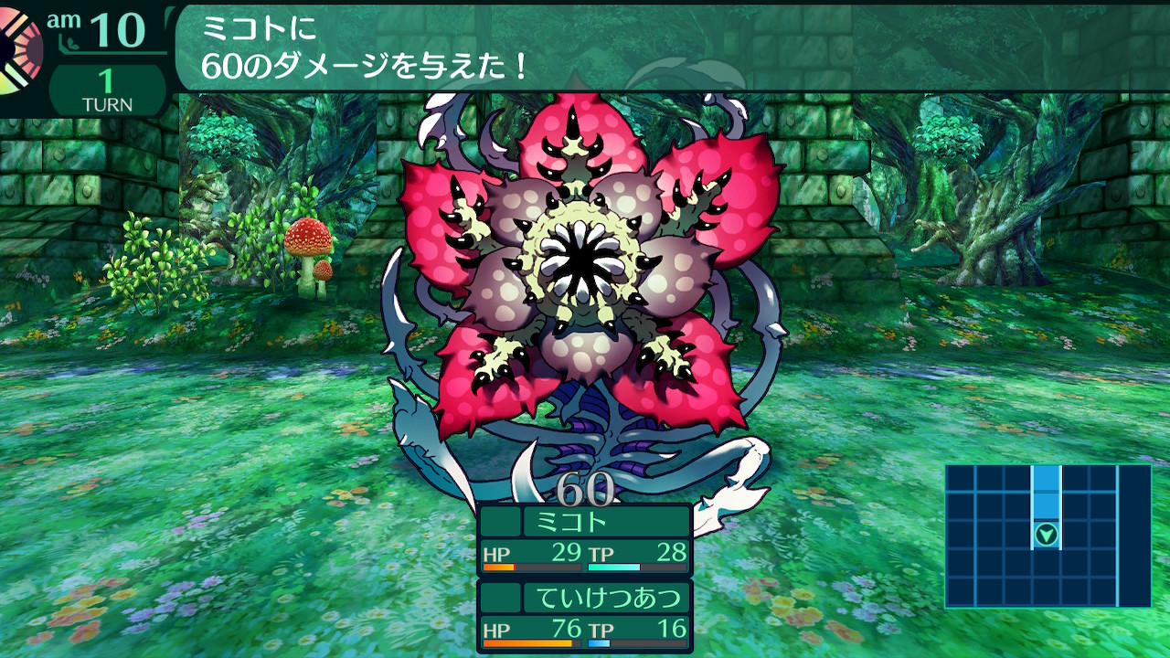 ハイラガ