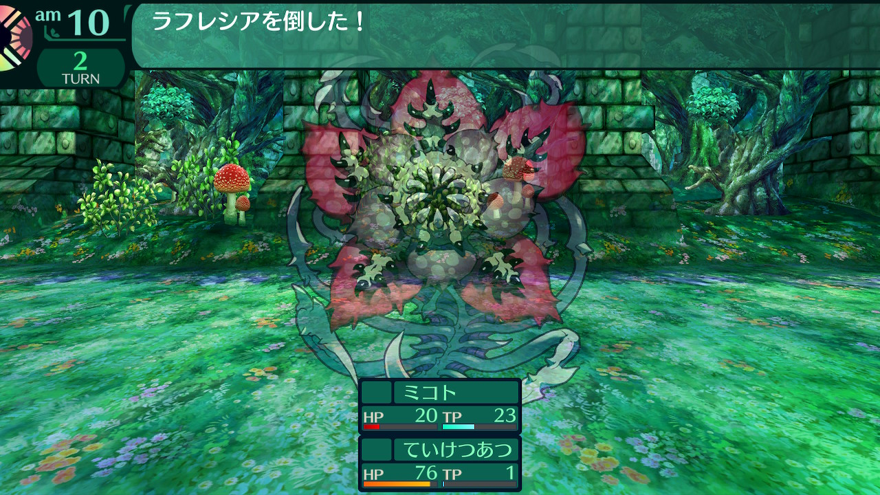 ハイラガ