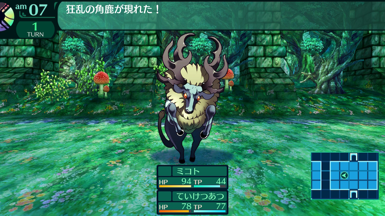 ハイラガ