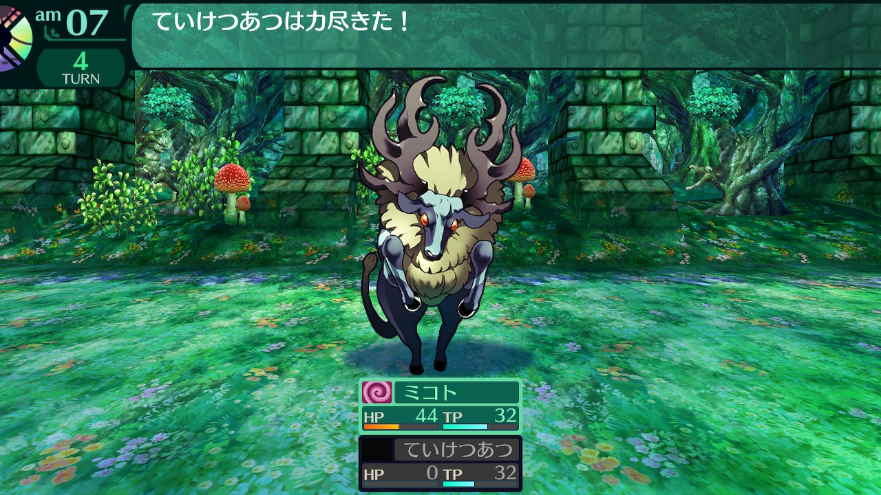 ハイラガ