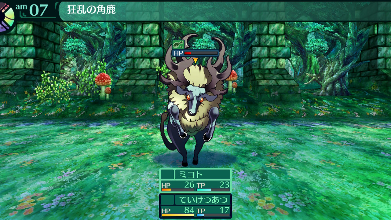 ハイラガ
