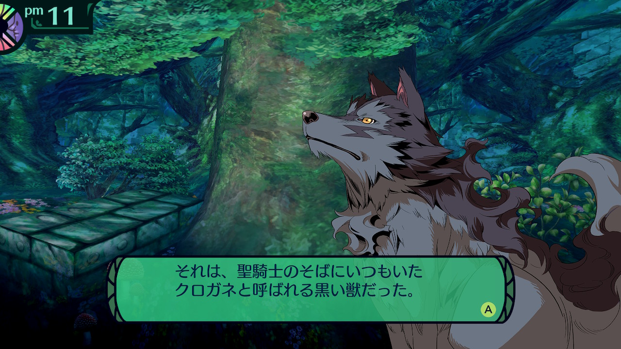 ハイラガ