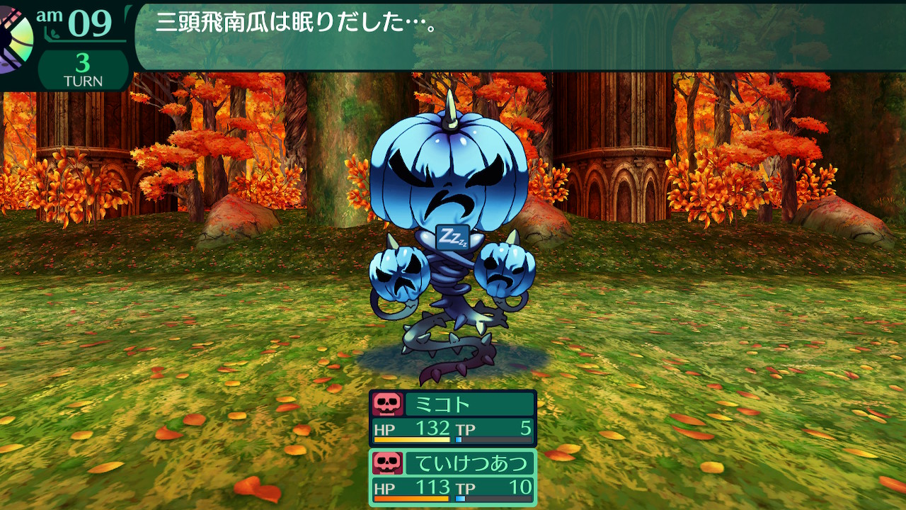 ハイラガ