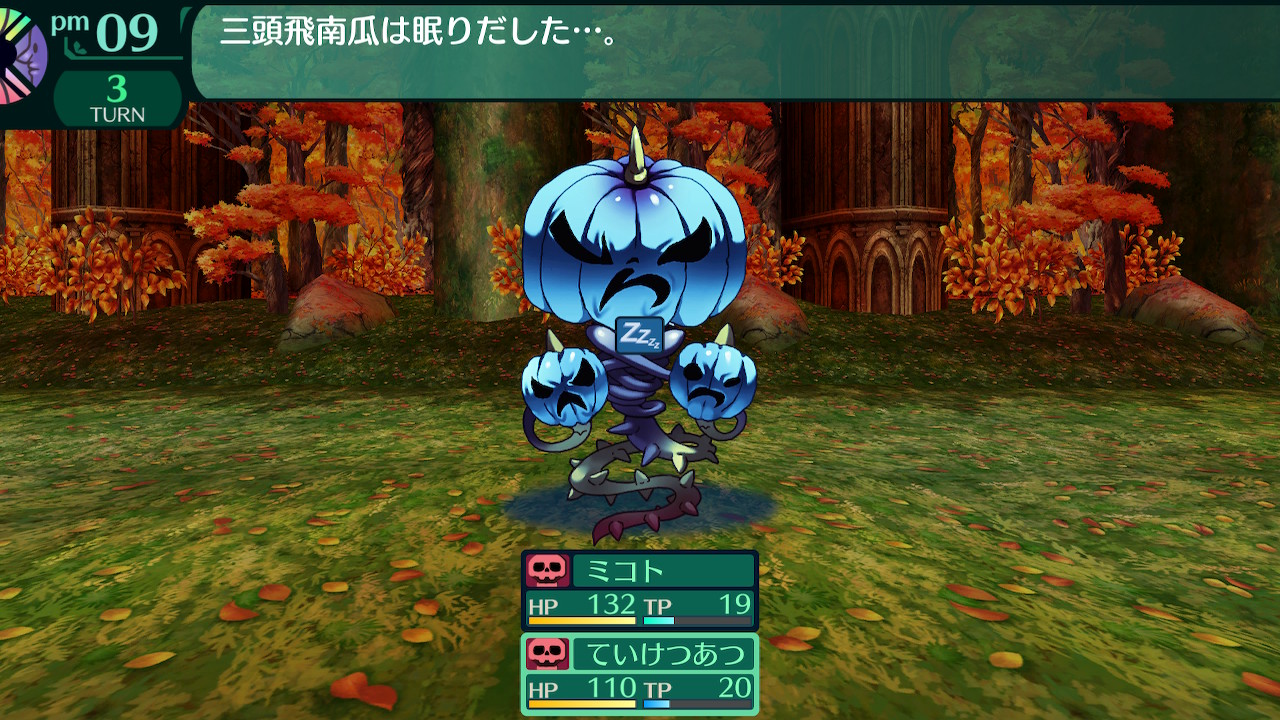 ハイラガ