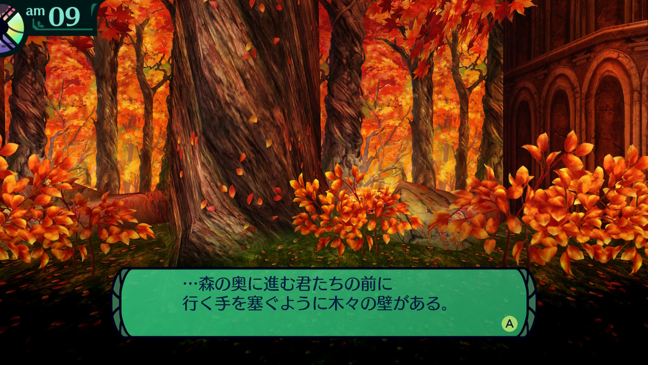 ハイラガ