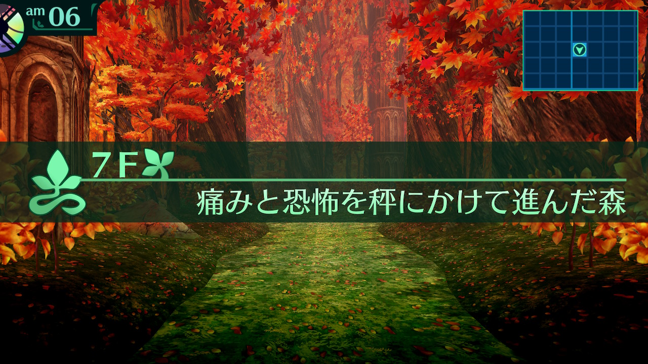 ハイラガ