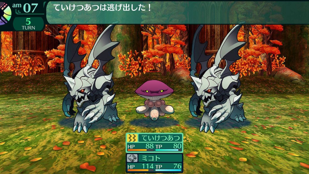 ハイラガ