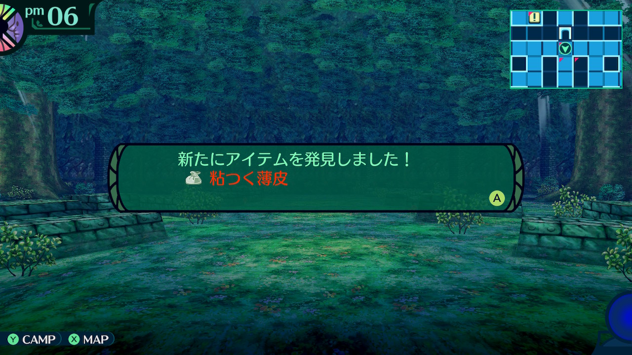 ハイラガ