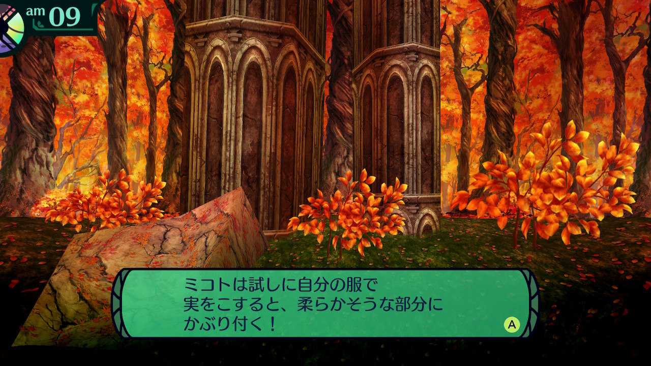 ハイラガ