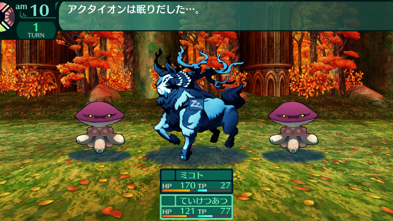 ハイラガ