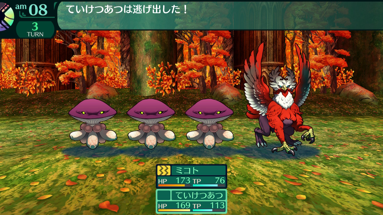 ハイラガ