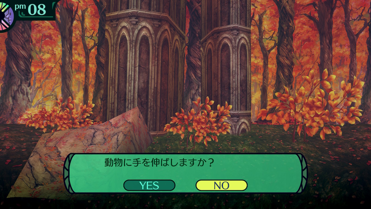 ハイラガ
