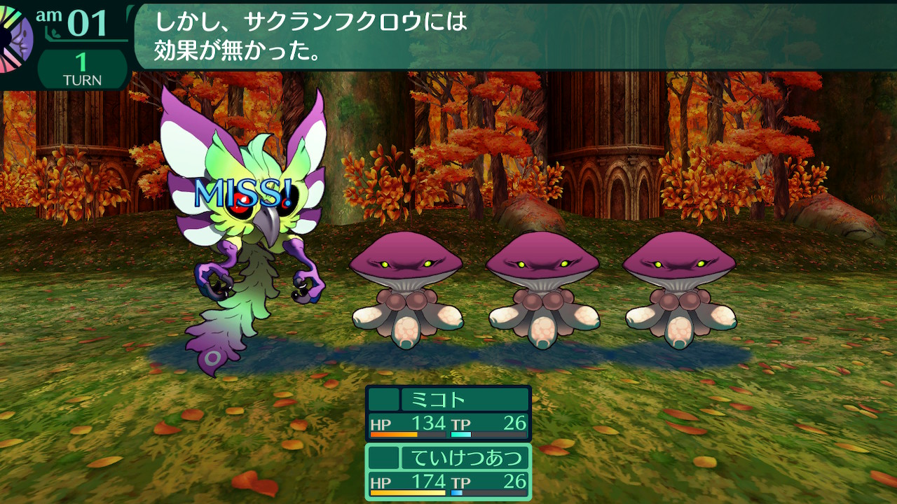 ハイラガ