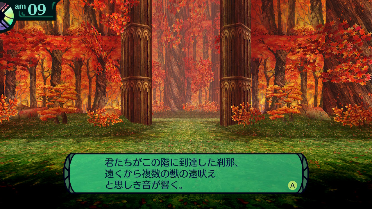 ハイラガ
