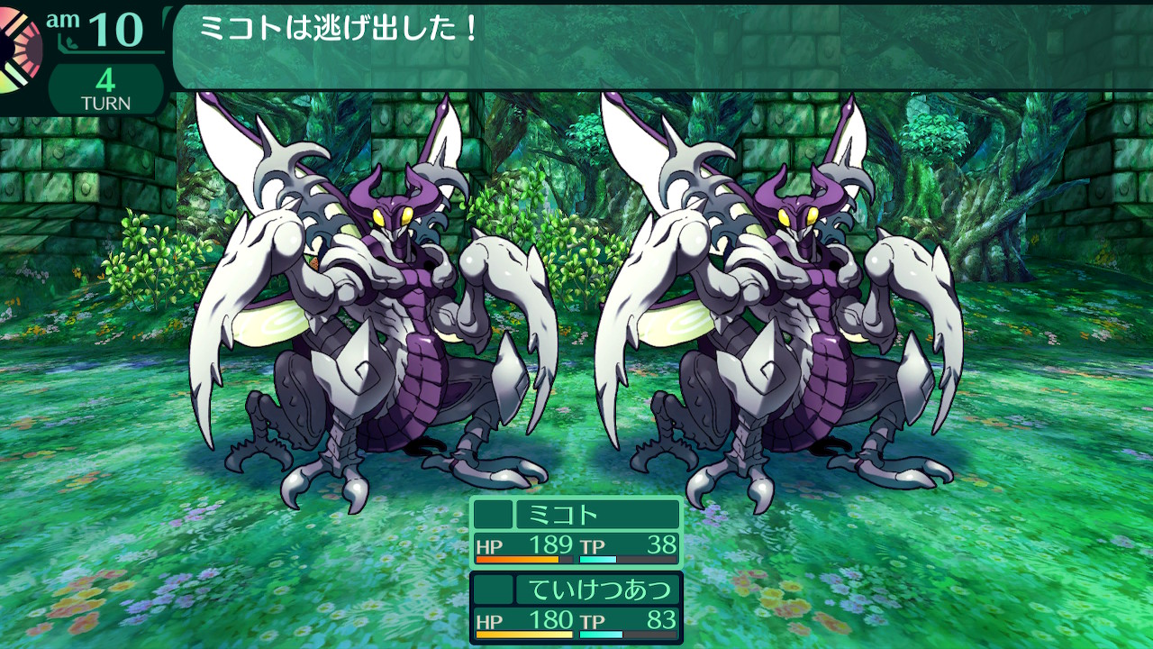 ハイラガ