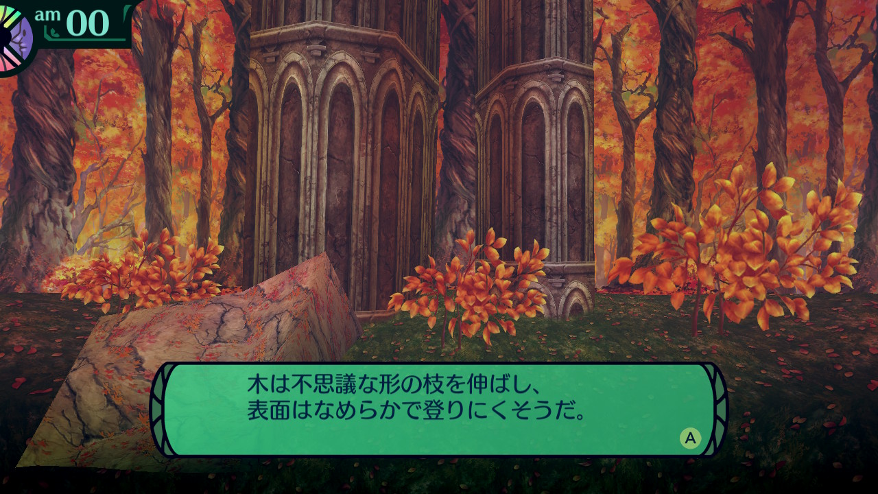 ハイラガ