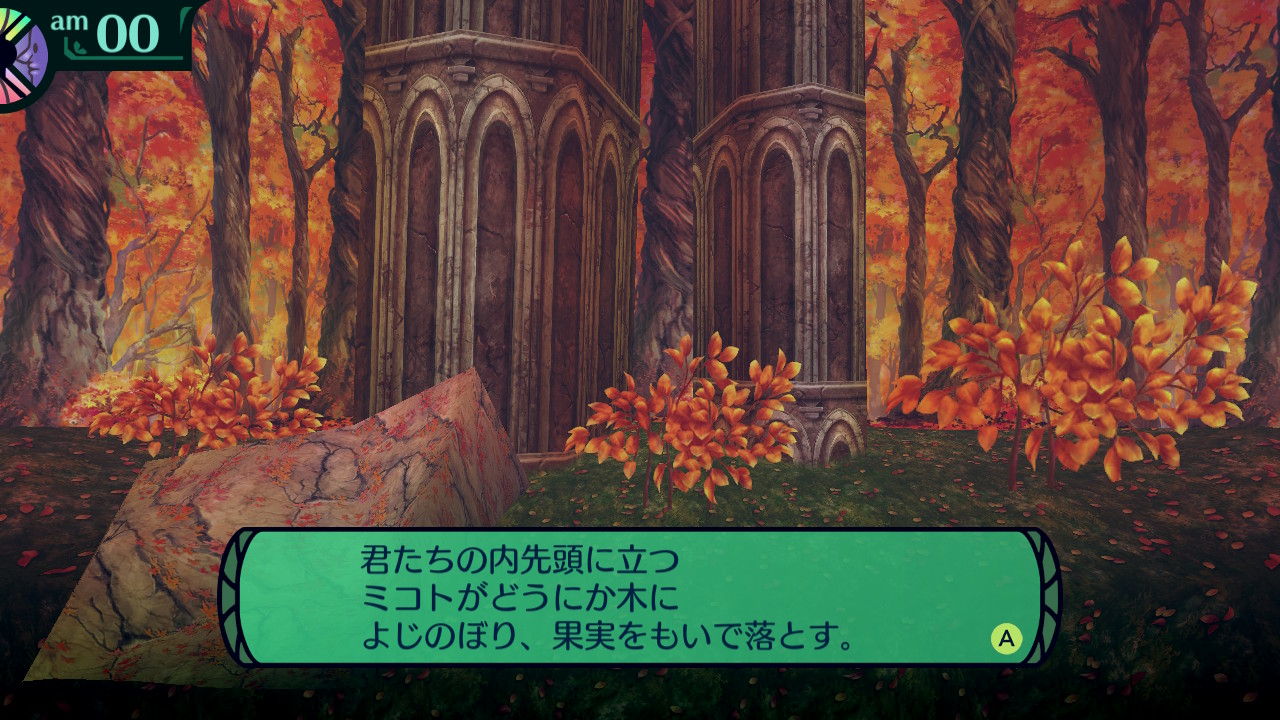 ハイラガ