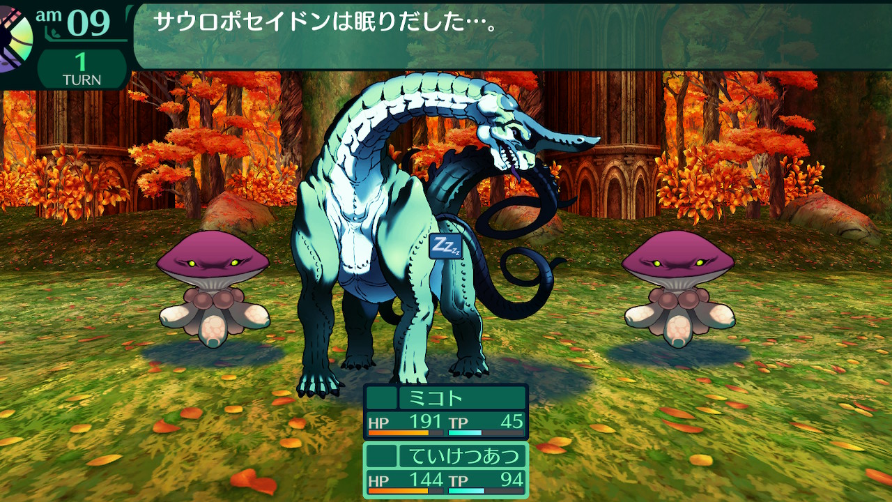 ハイラガ