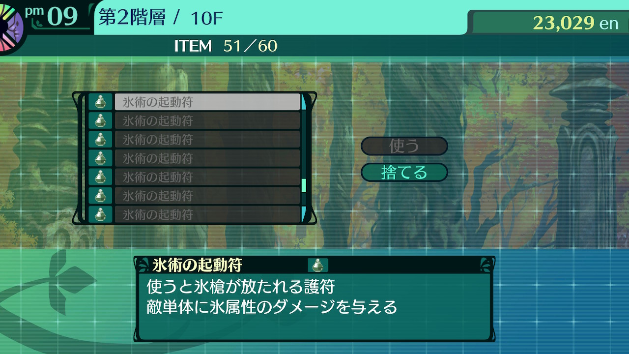 ハイラガ