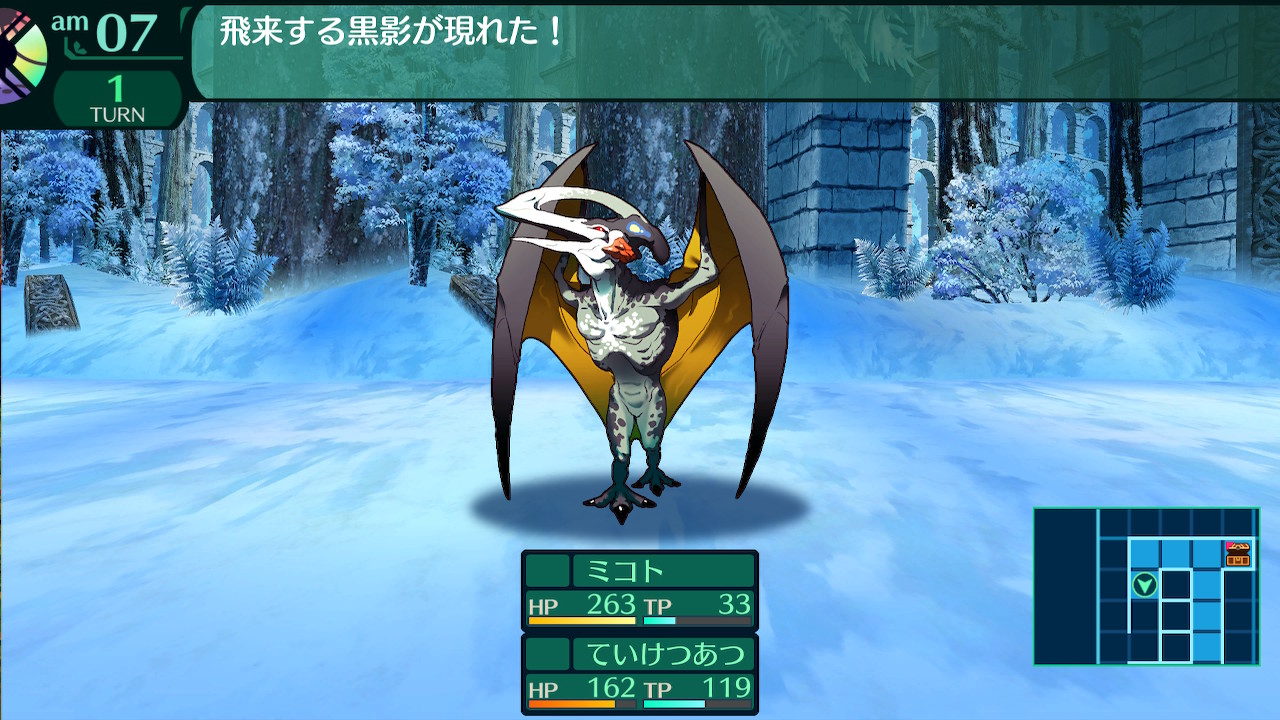 ハイラガ