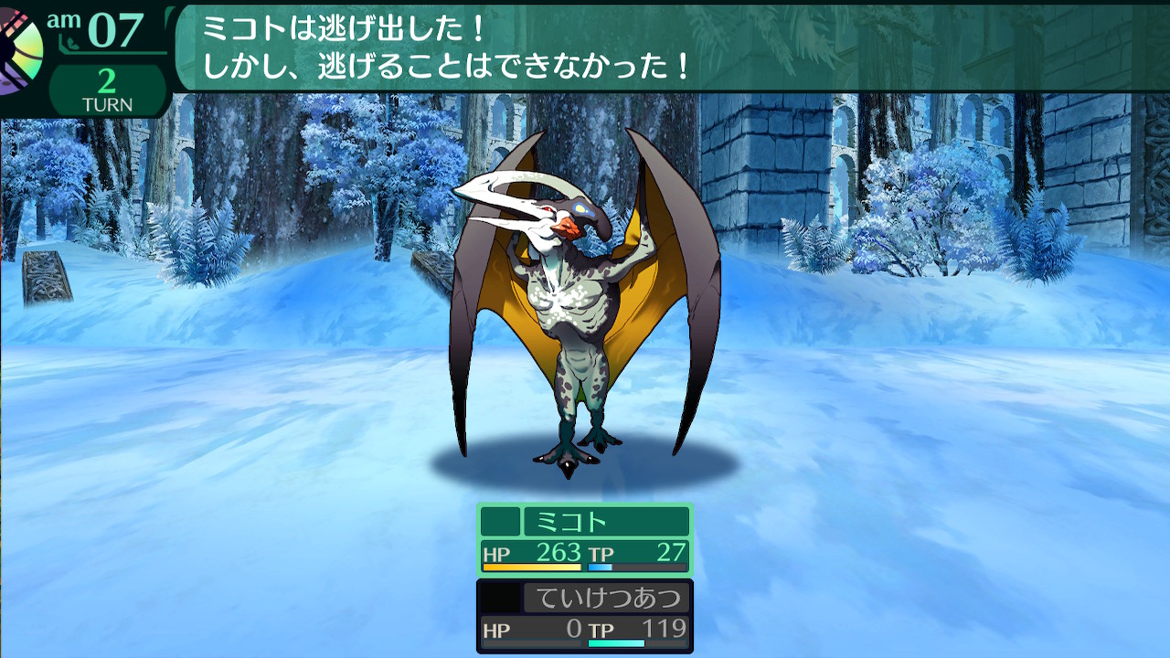 ハイラガ