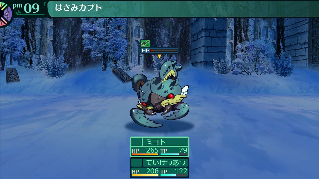 ハイラガ