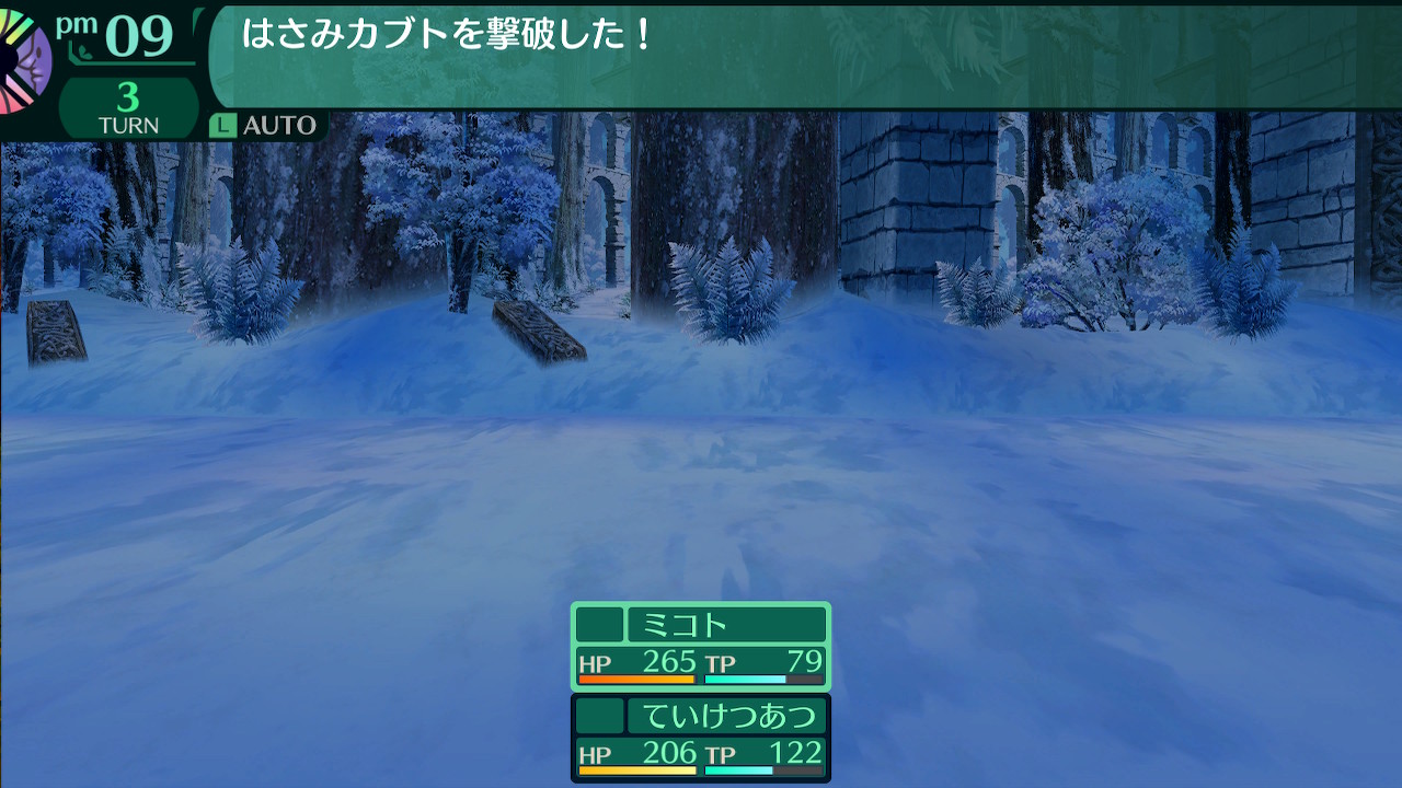 ハイラガ