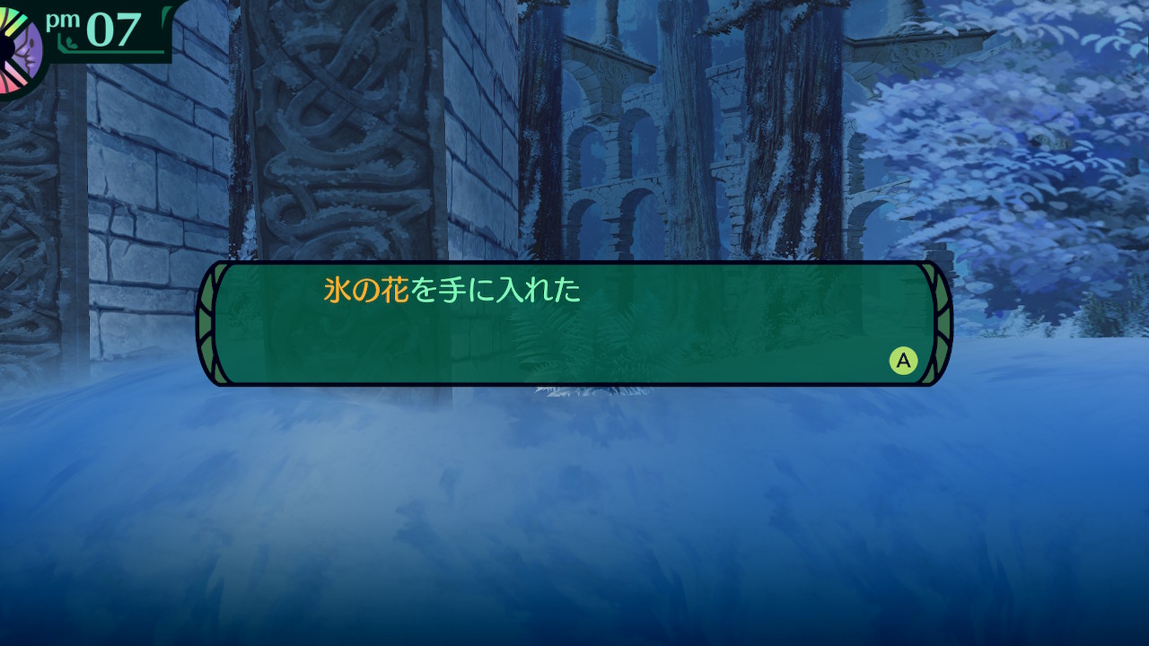 ハイラガ