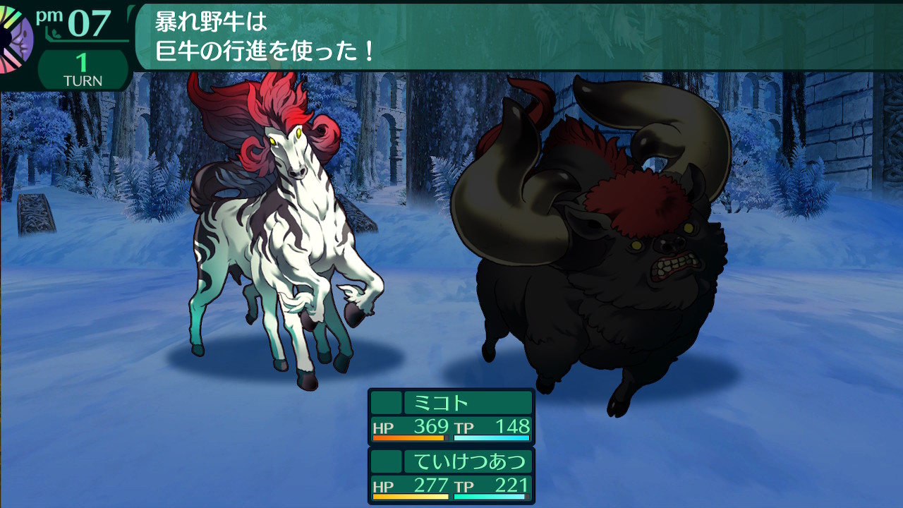 ハイラガ