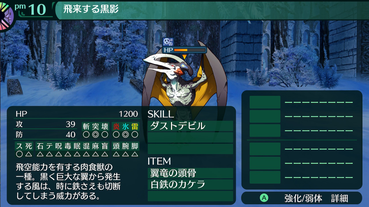 ハイラガ