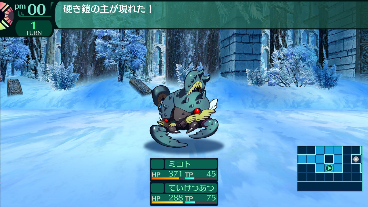 ハイラガ