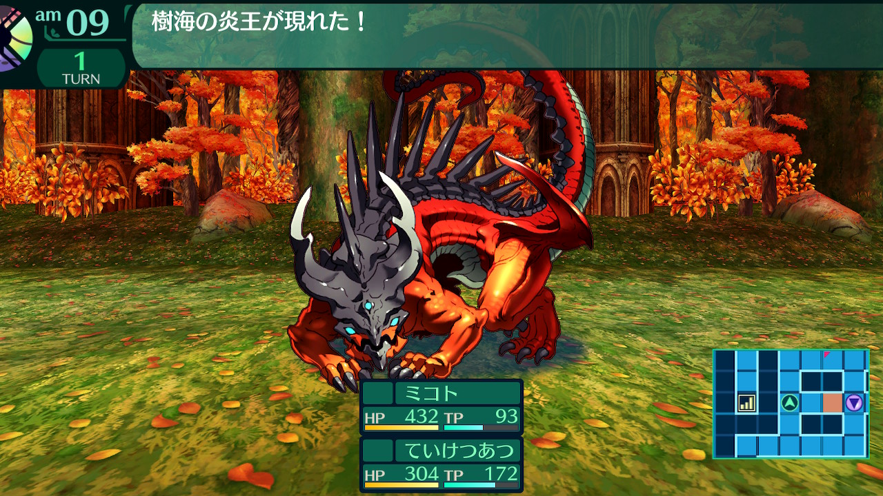 ハイラガ