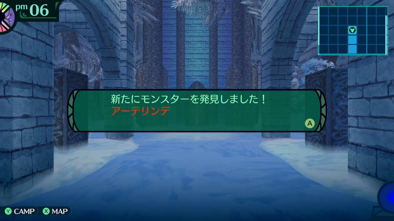 ハイラガ