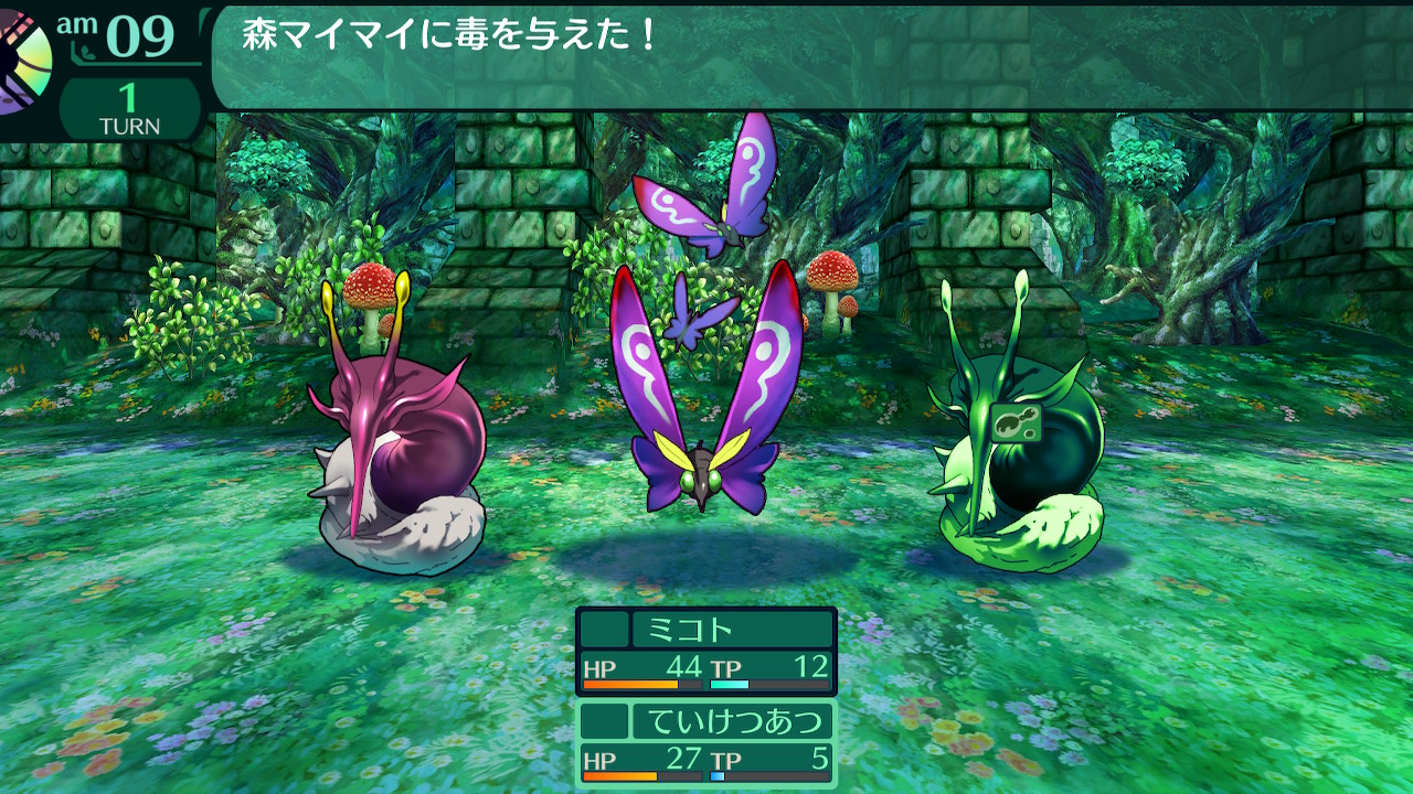 ハイラガ