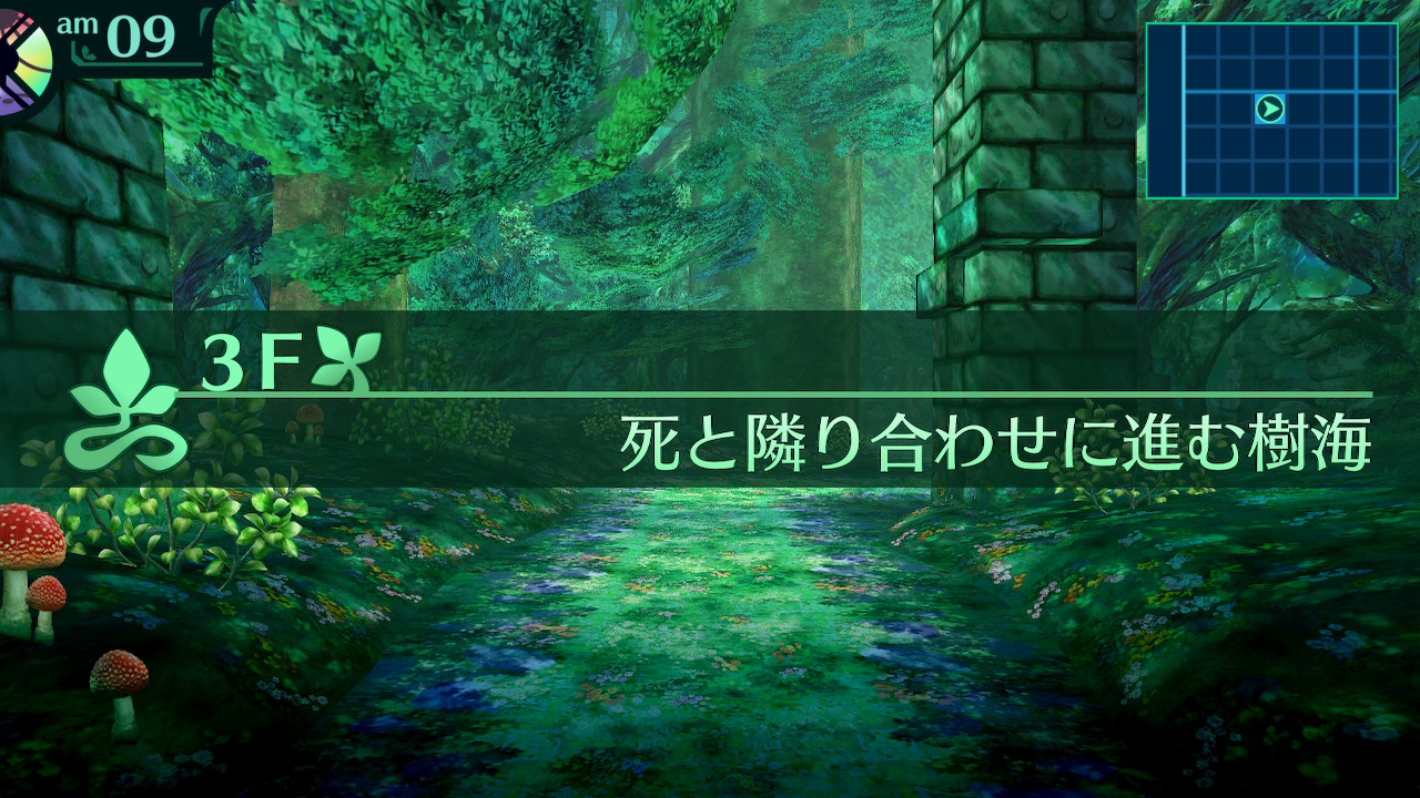 ハイラガ