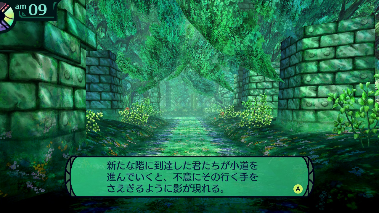ハイラガ