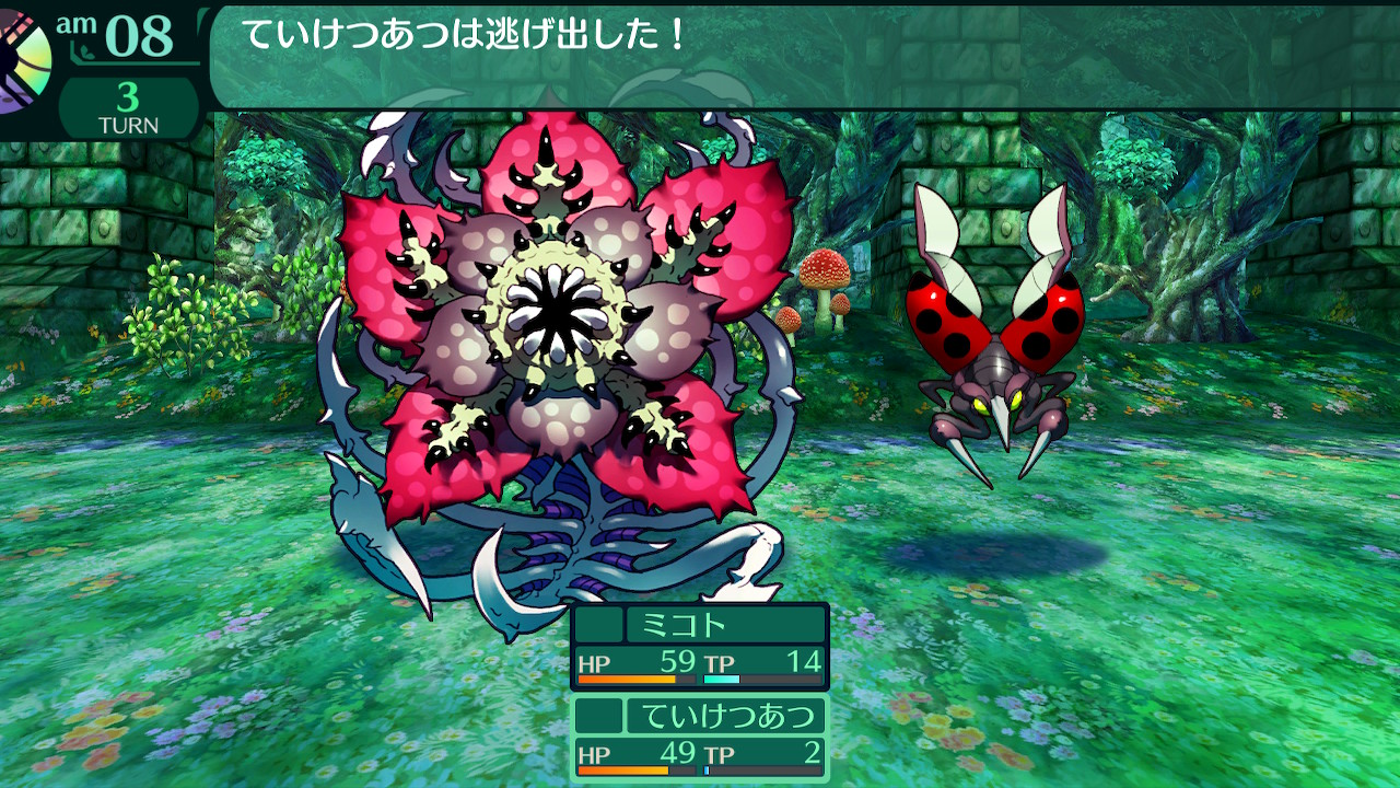 ハイラガ
