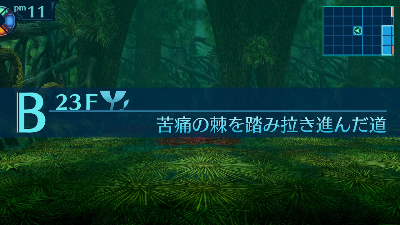 アモロ
