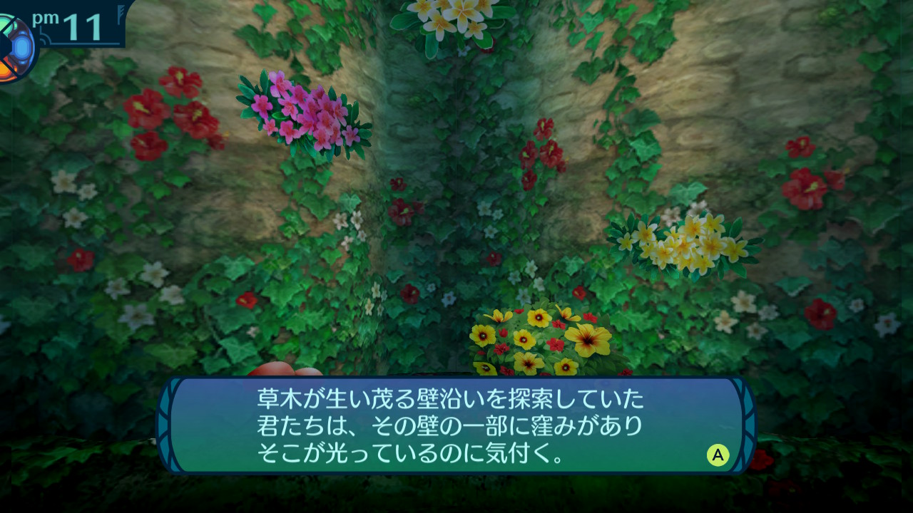 アモロ