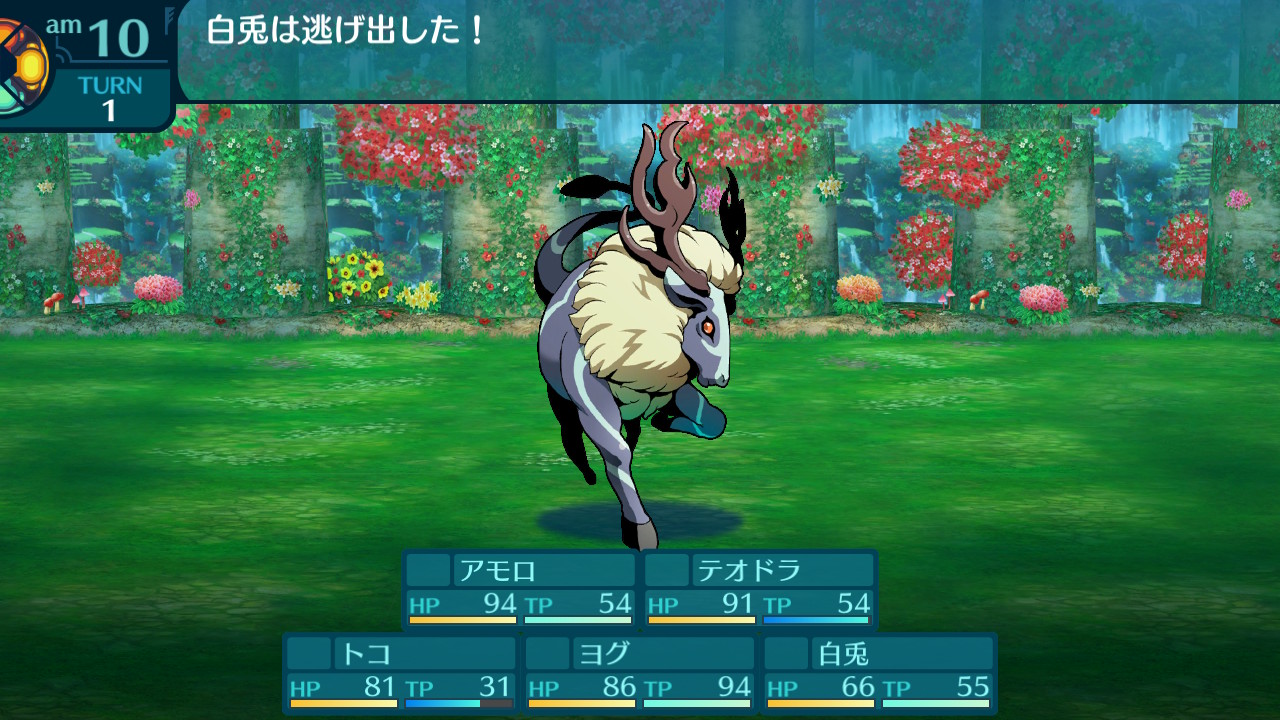 アモロ
