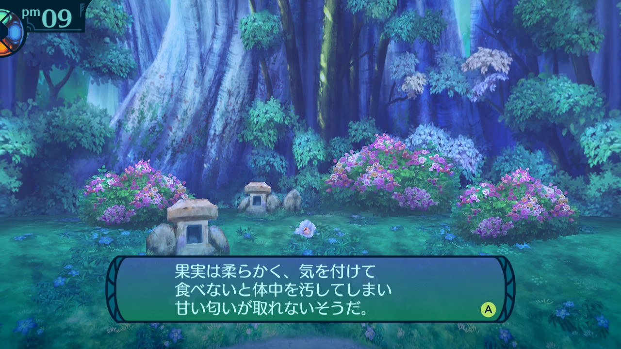 アモロ
