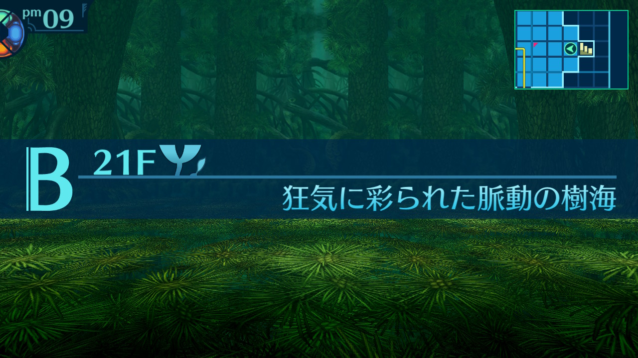 アモロ