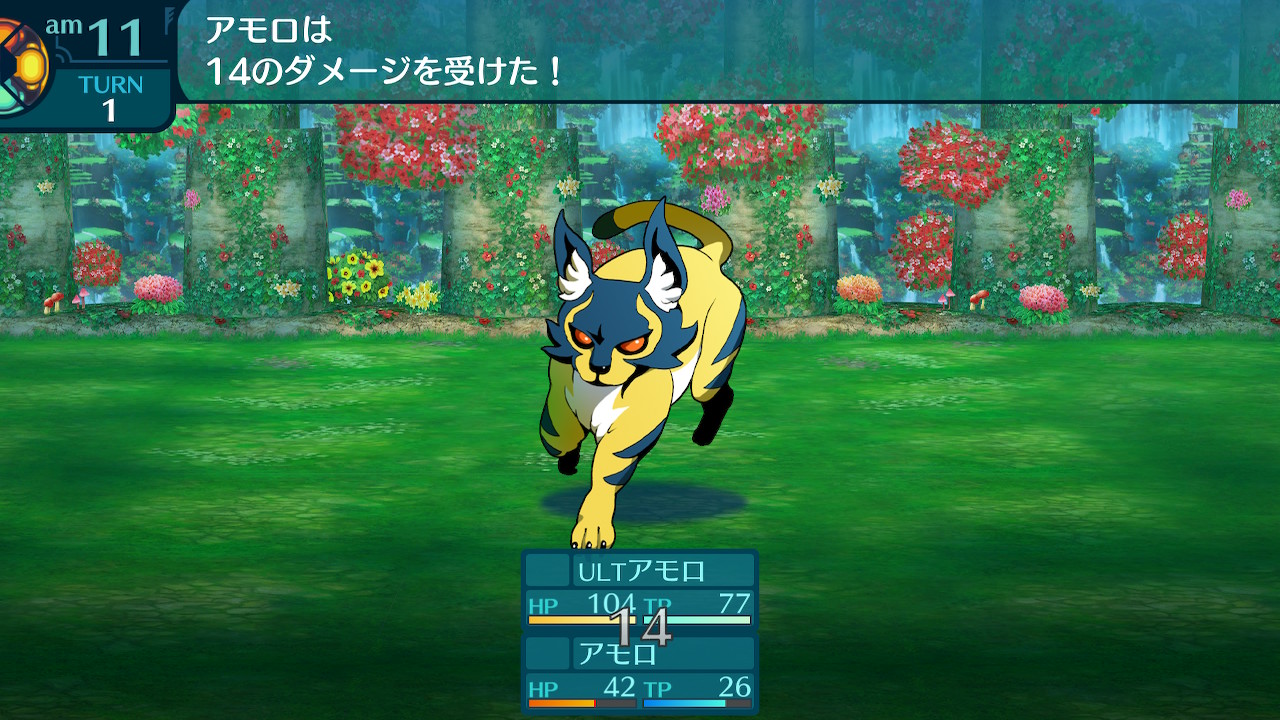 アモロ