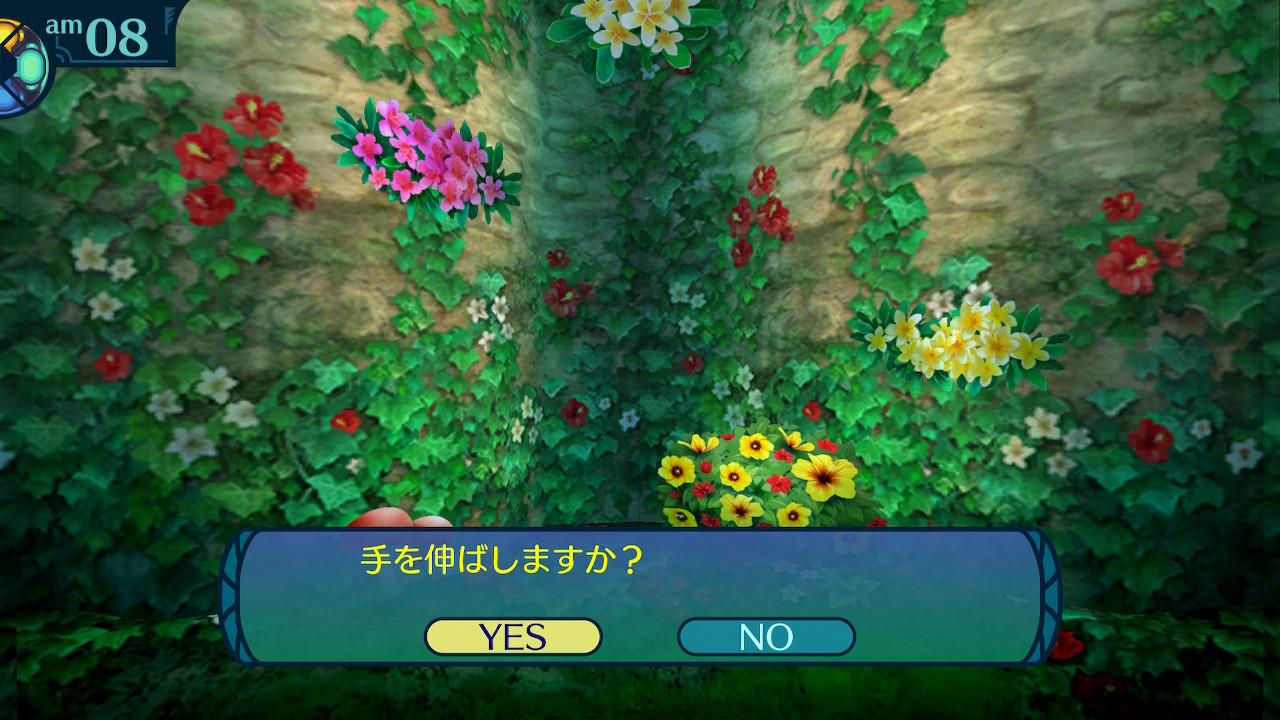 アモロ