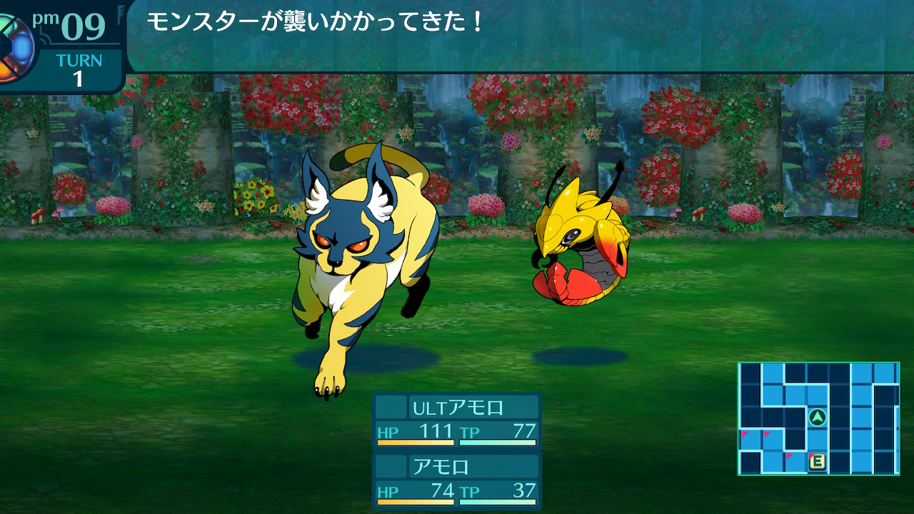 アモロ