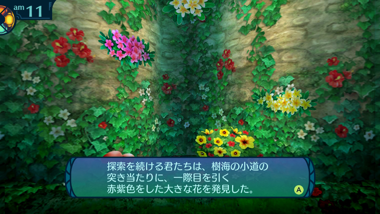 アモロ