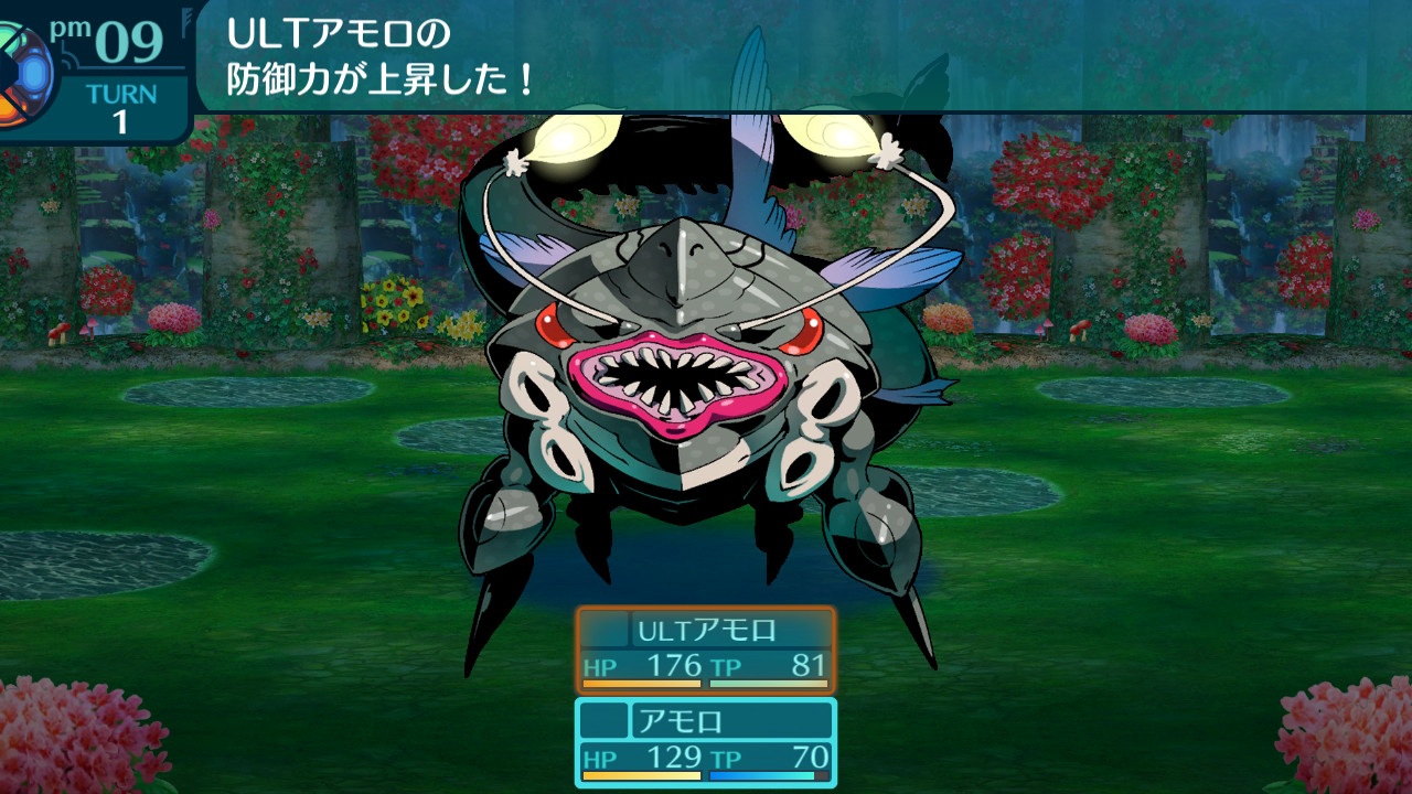 アモロ