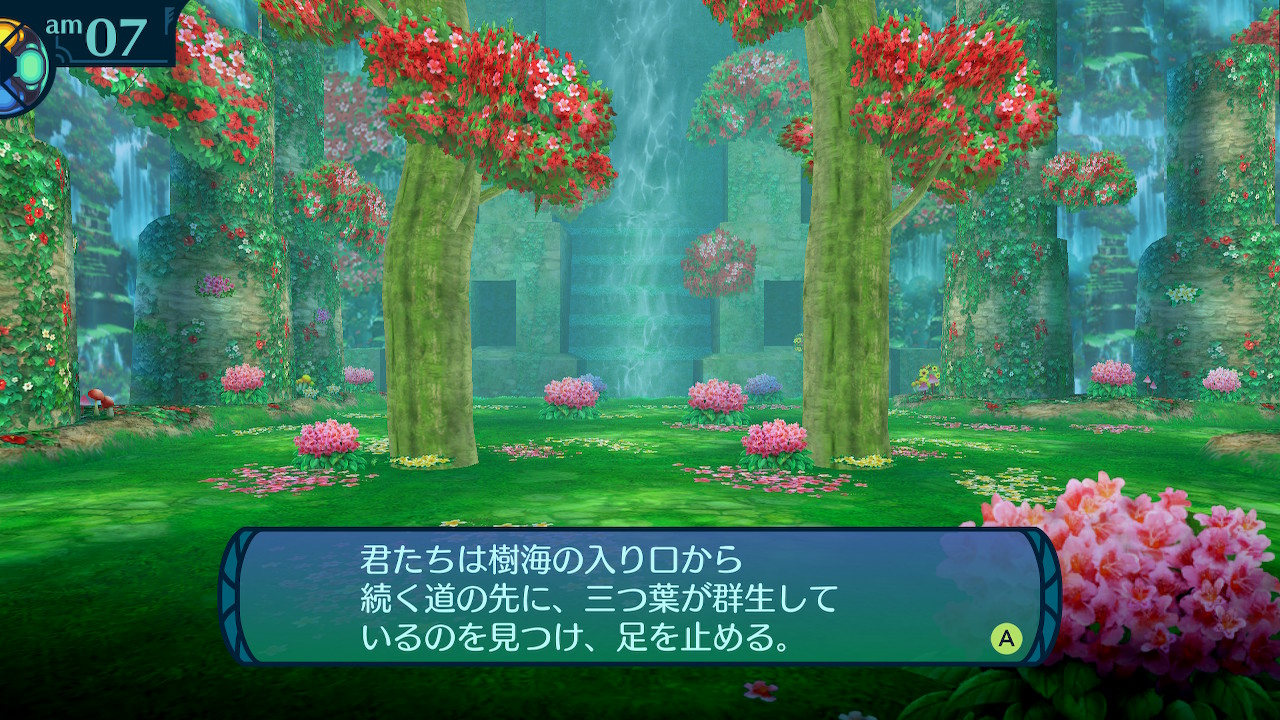 アモロ